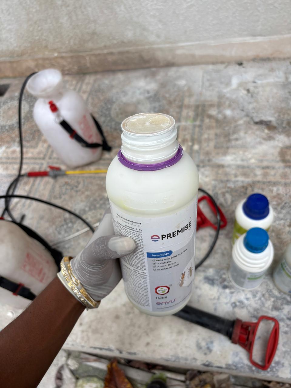 Bed bug control service