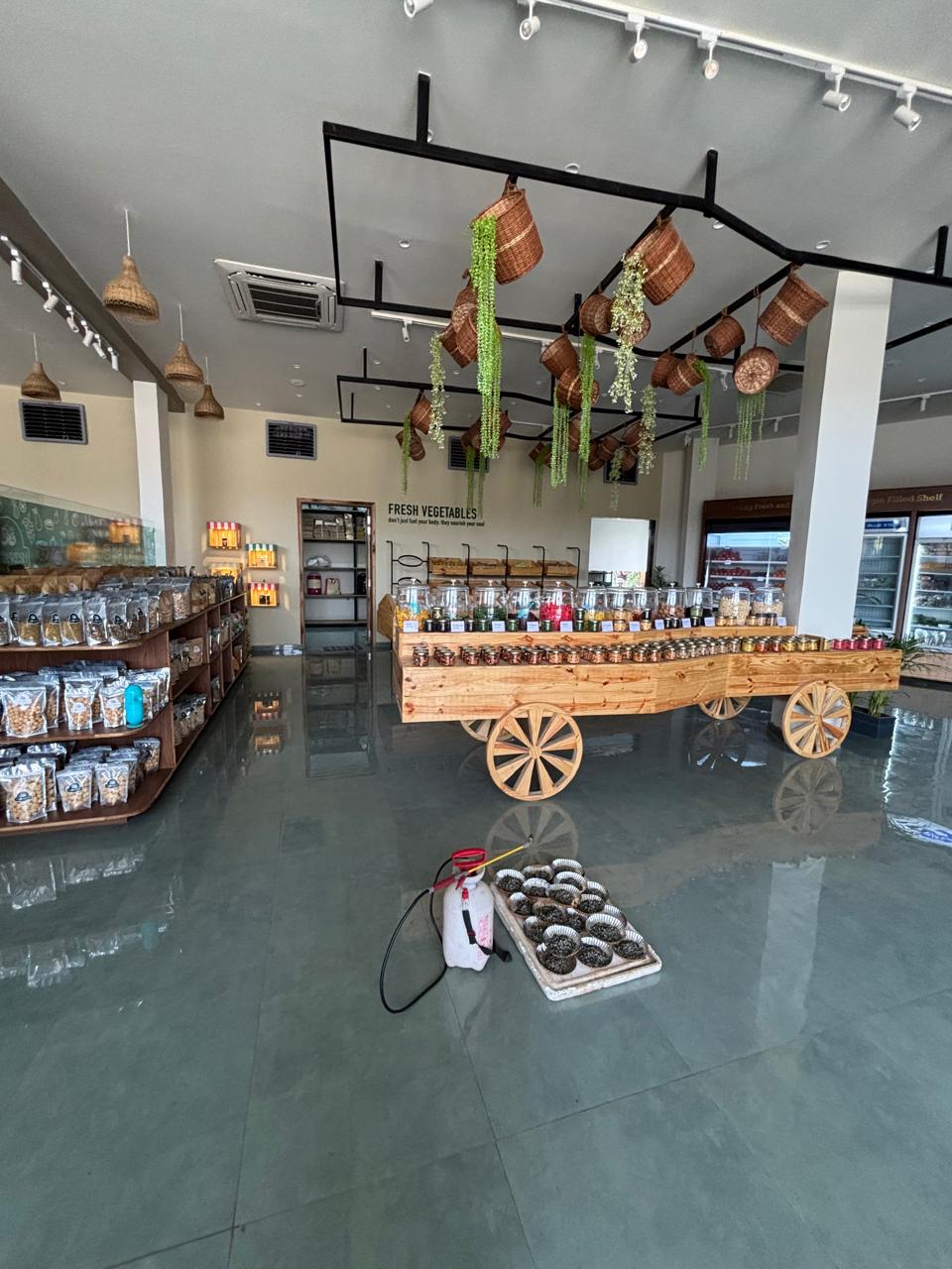 Cockroach pest control treatment